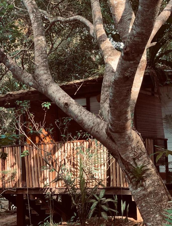 Hotel Quinta Do Caju Velha Boipeba Exterior foto